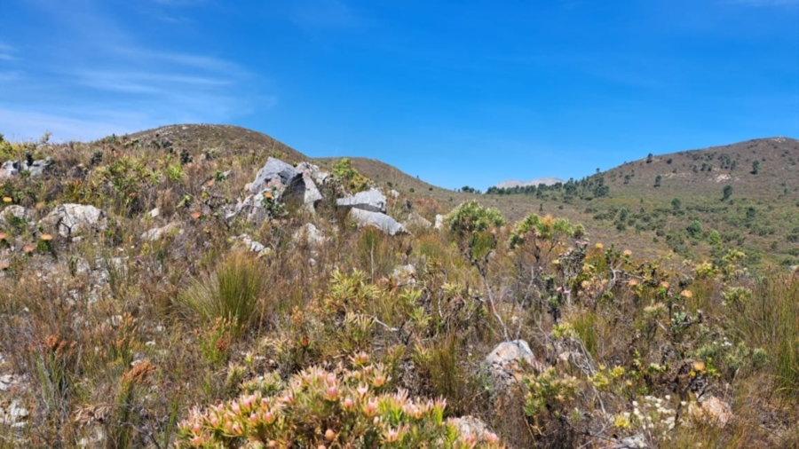 0 Bedroom Property for Sale in Caledon Rural Western Cape